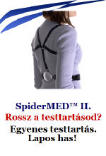 Tartásjavító