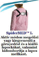 Tartásjavító
